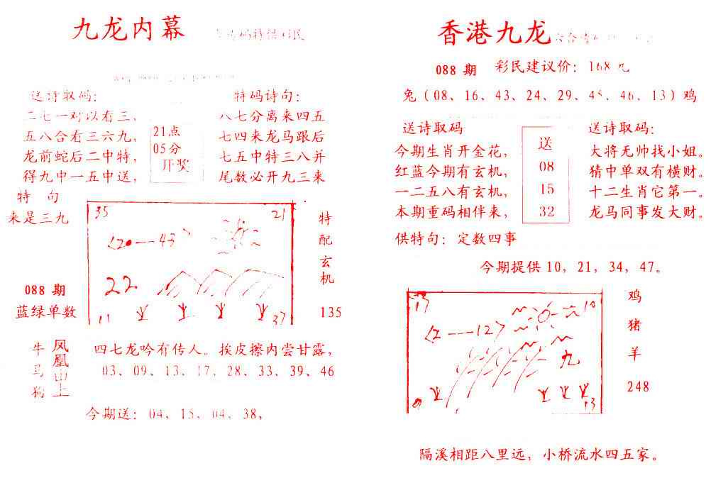 六合彩088期九龙内幕