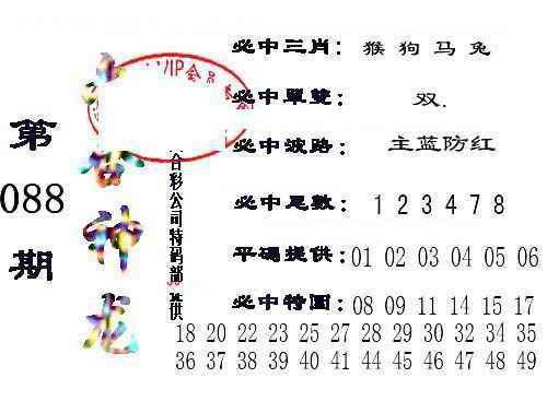六合彩088期六合神龙