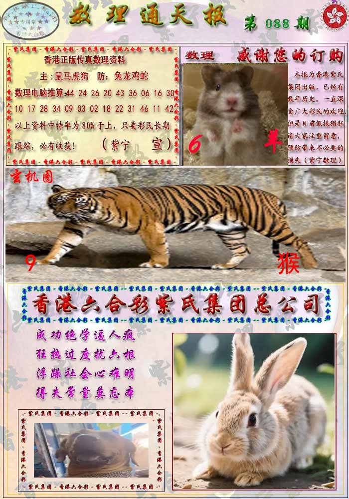 六合彩088期数通报