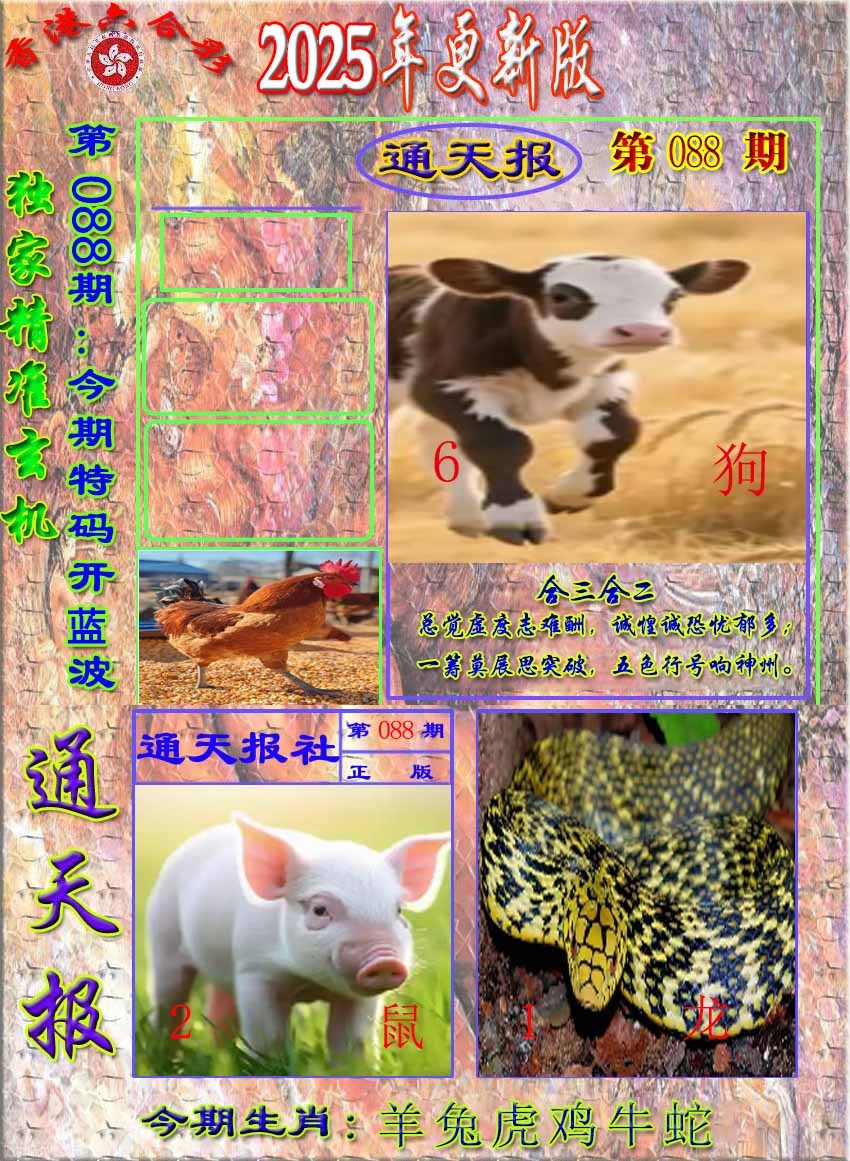 六合彩088期新通报
