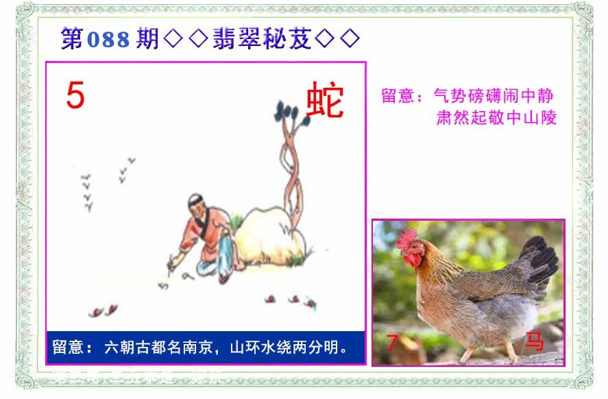 六合彩088期翡翠报