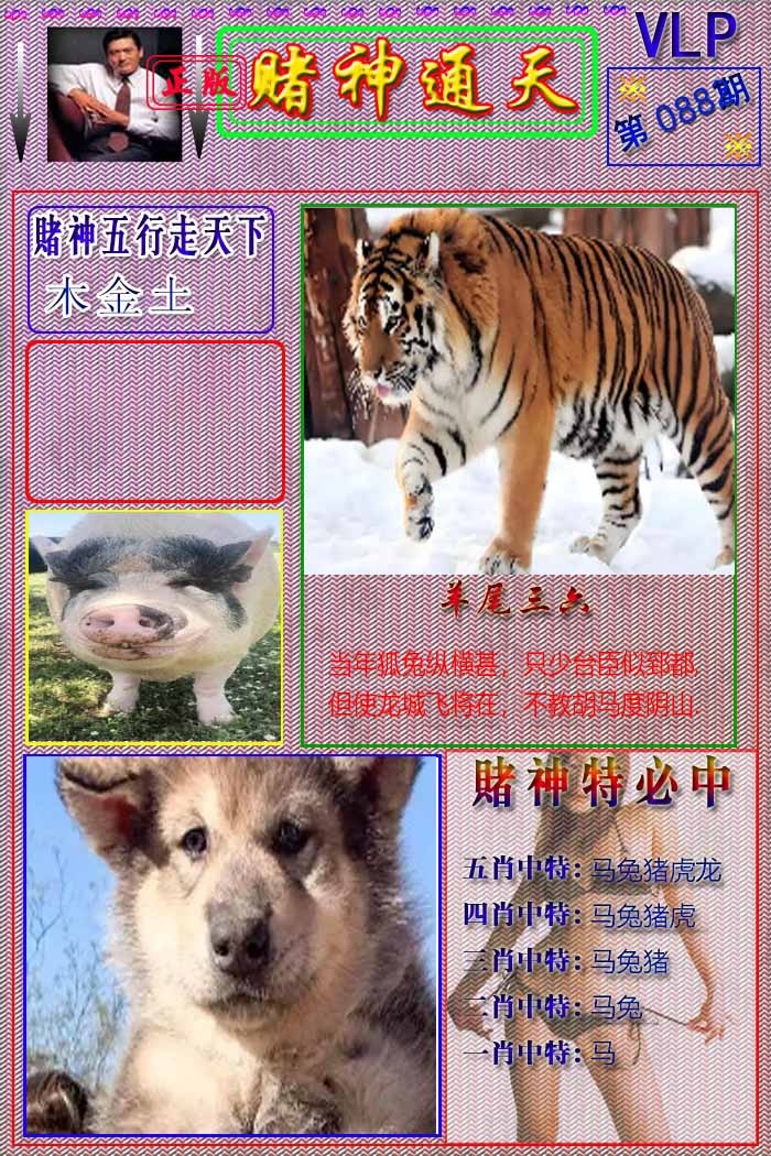 六合彩088期赌神通天报