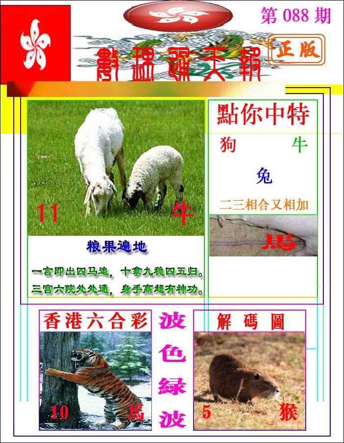 六合彩088期数理通天