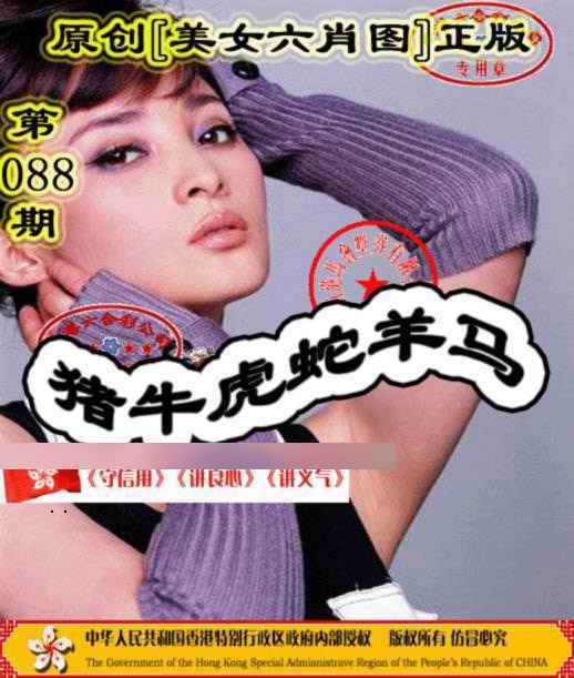 六合彩088期另版美女六肖图