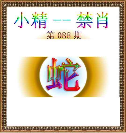 六合彩088期小精禁肖