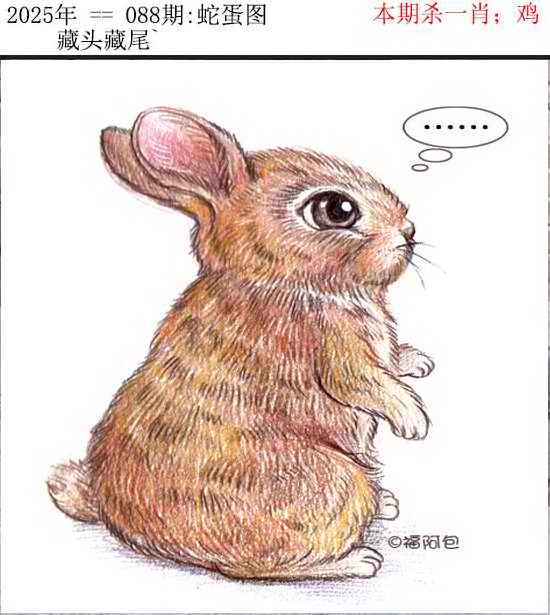 六合彩088期正版蛇蛋图