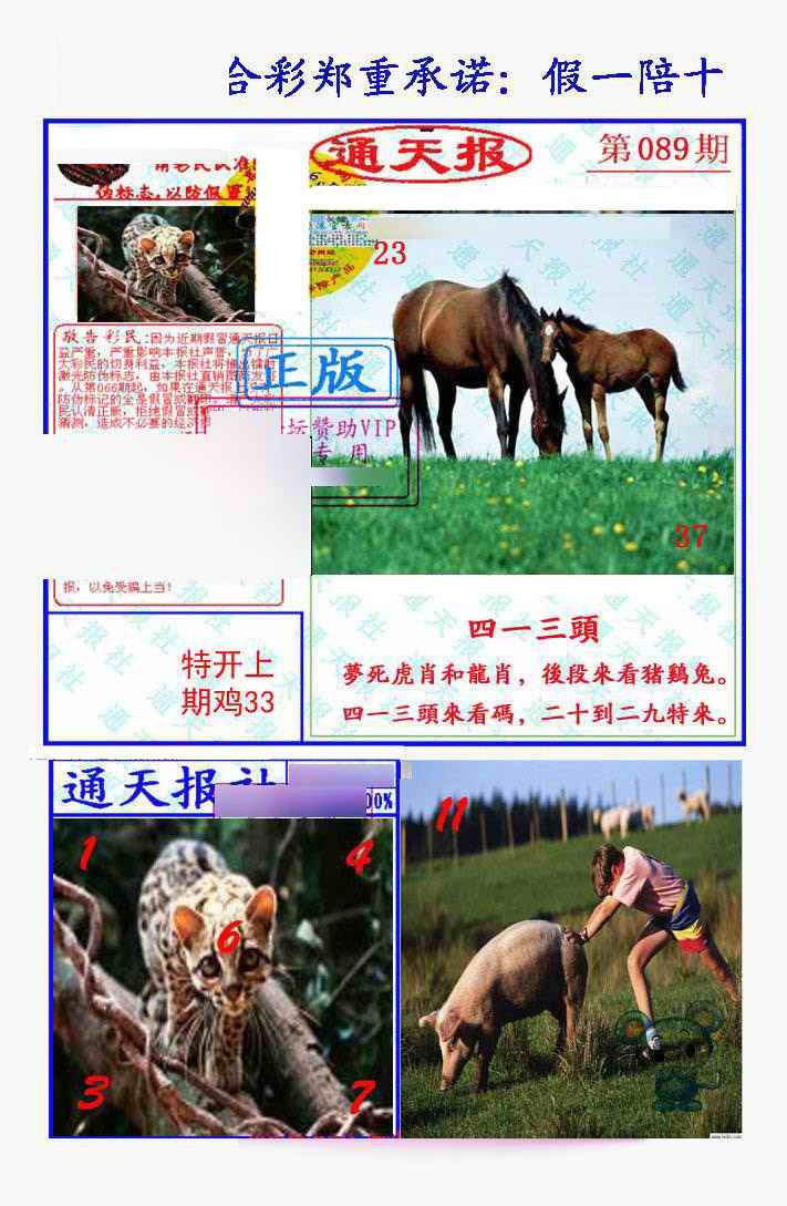 六合彩089期假一陪十通天报