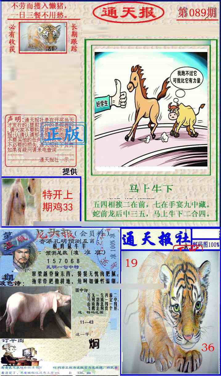 六合彩089期实力通天报