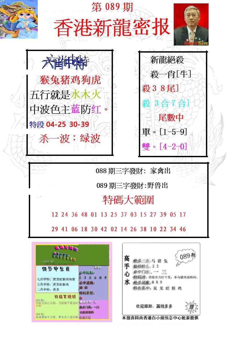 六合彩089期新龙密报