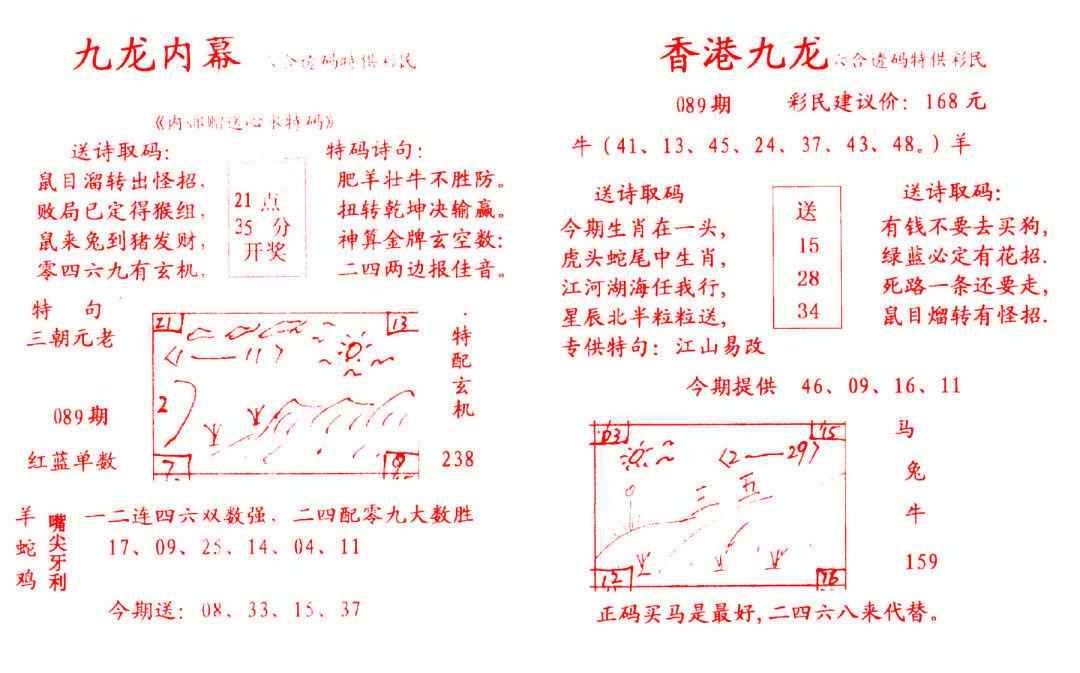 六合彩089期九龙内幕