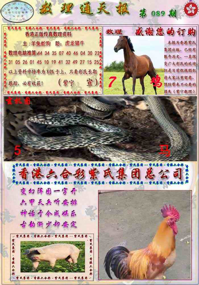 六合彩089期数通报