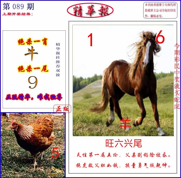 六合彩089期新精华报报