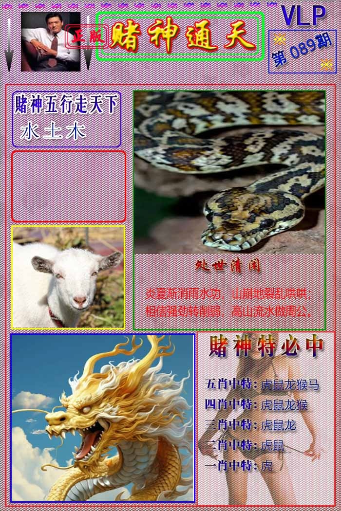 六合彩089期赌神通天报