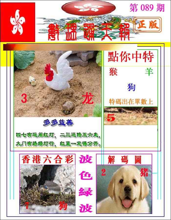 六合彩089期数理通天