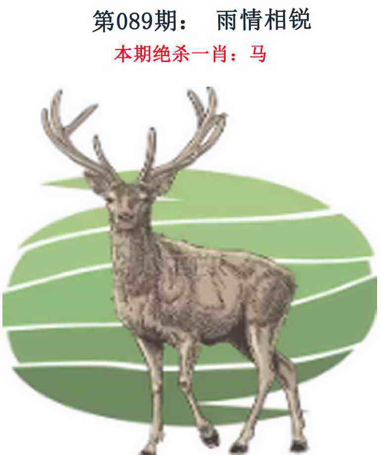 六合彩089期金钱豹自有真功夫