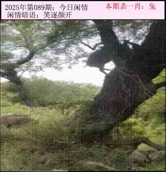 六合彩089期今日闲情