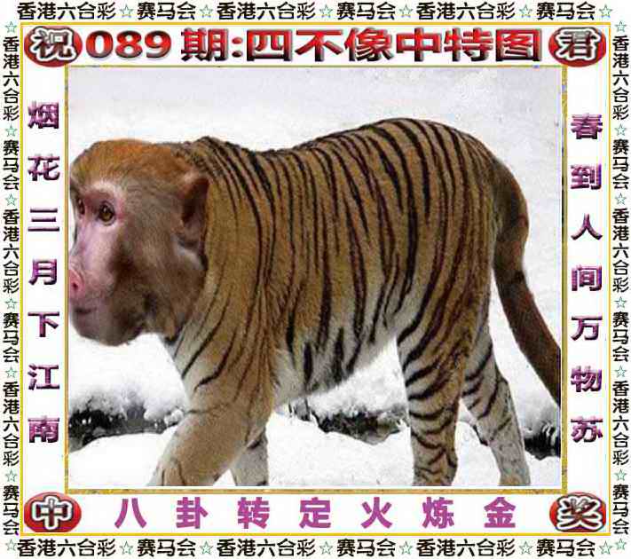 六合彩089期四不像中特图