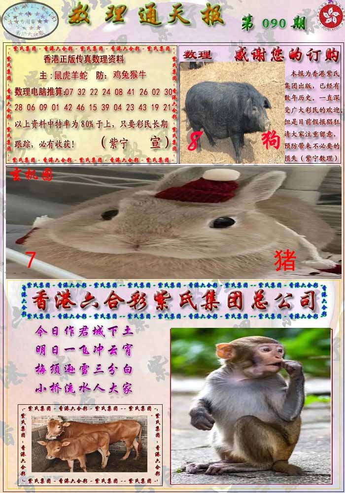 六合彩090期数通报