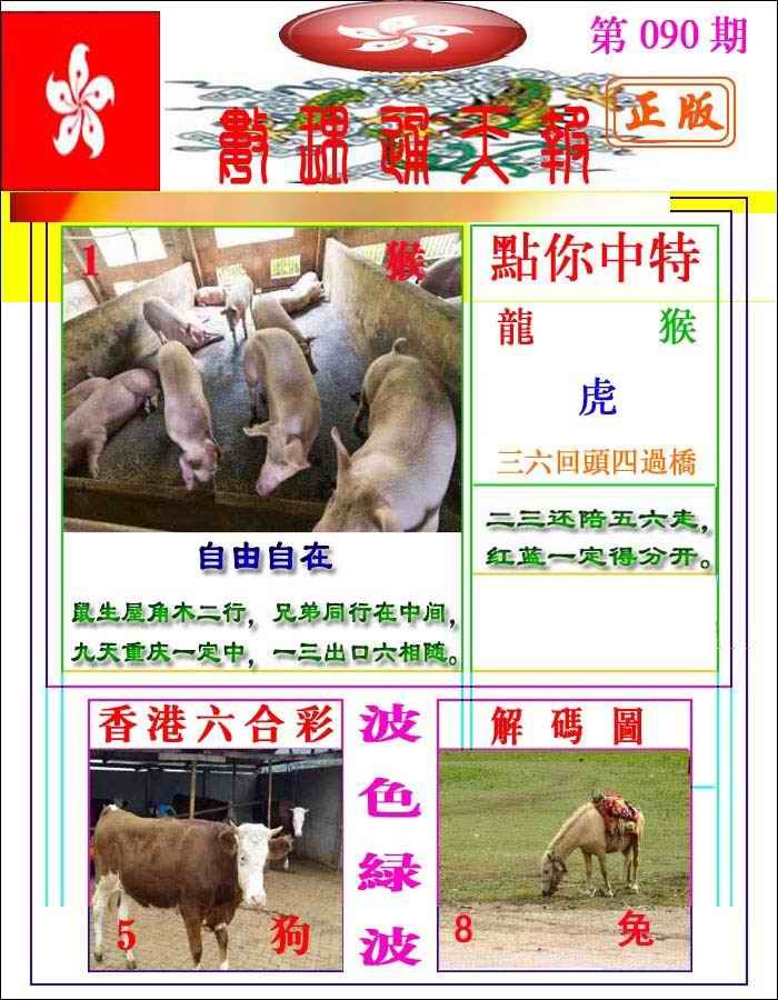 六合彩090期数理通天