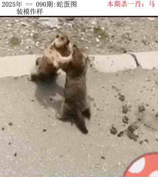 六合彩090期正版蛇蛋图