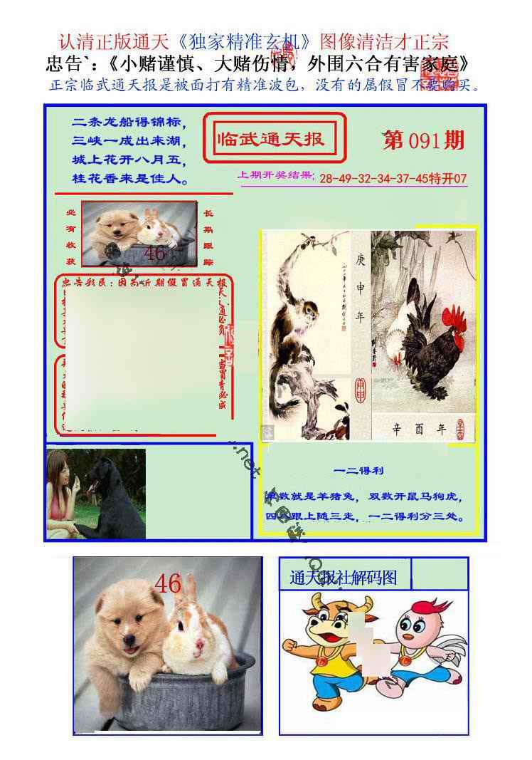 六合彩091期临武通天报