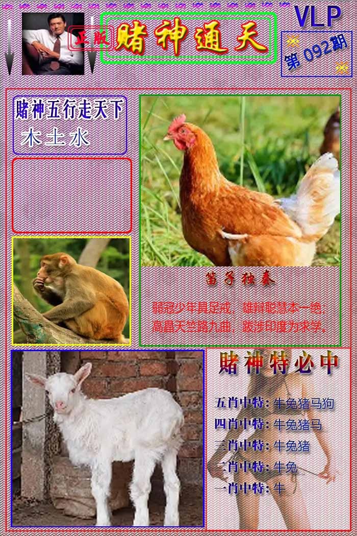 六合彩092期赌神通天报