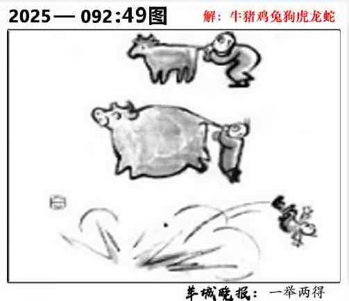六合彩092期49图