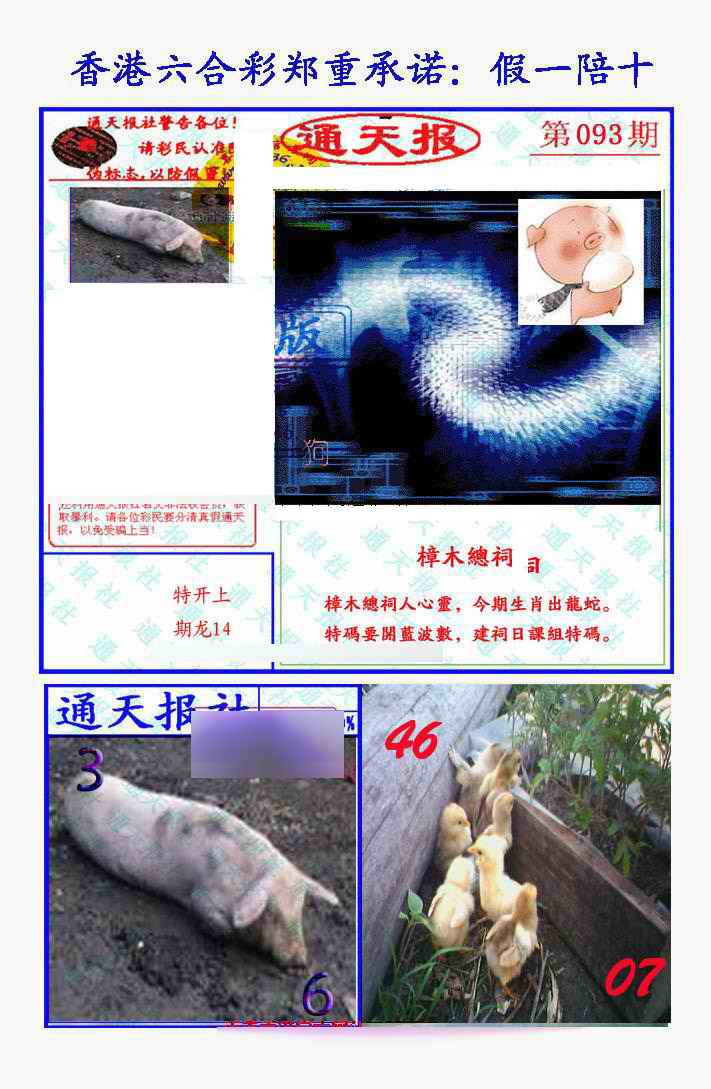 六合彩093期假一陪十通天报