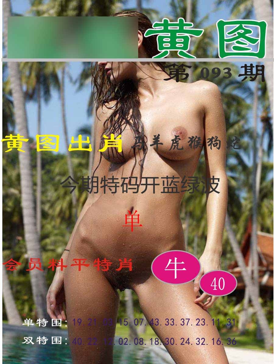 六合彩093期黄图