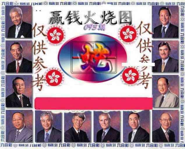 六合彩093期赢钱火烧图