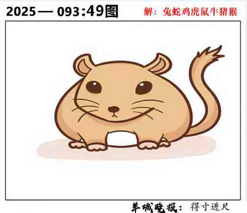 六合彩093期49图