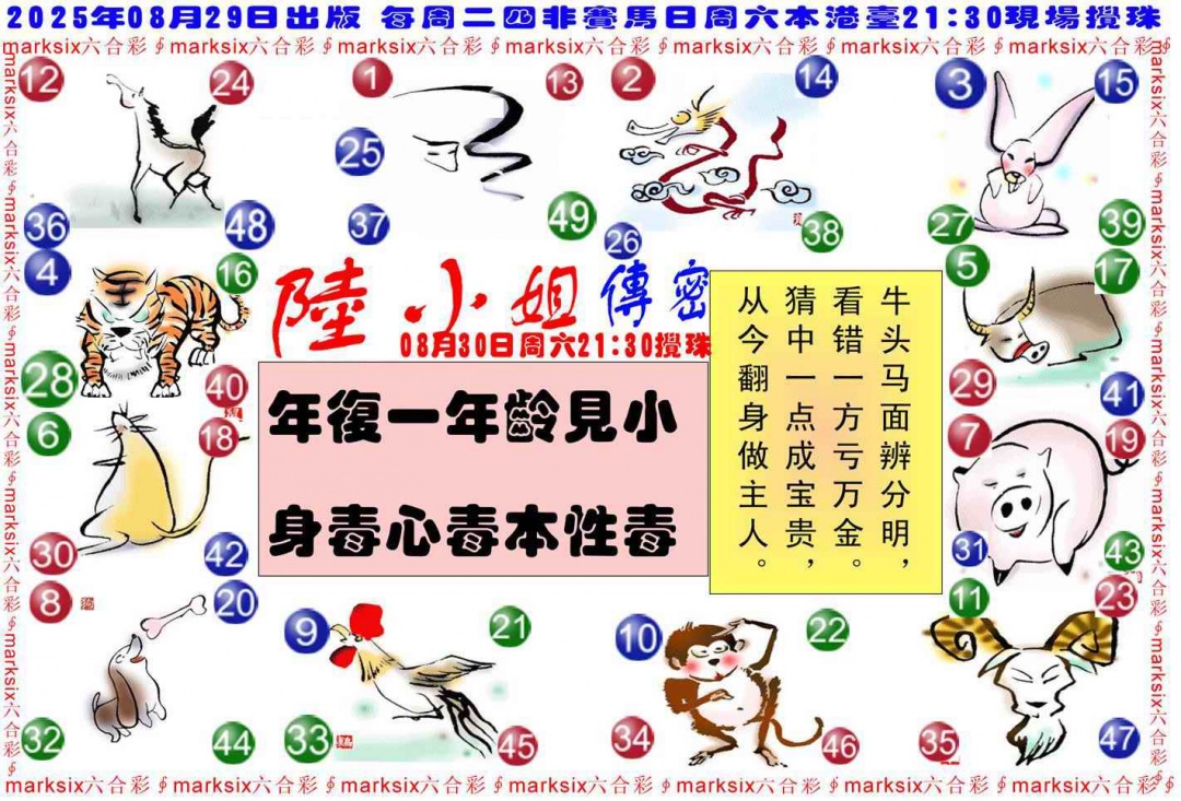 六合彩095期陆小姐传密B