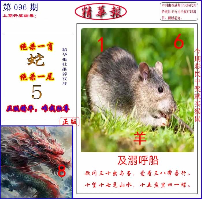 六合彩096期新精华报报