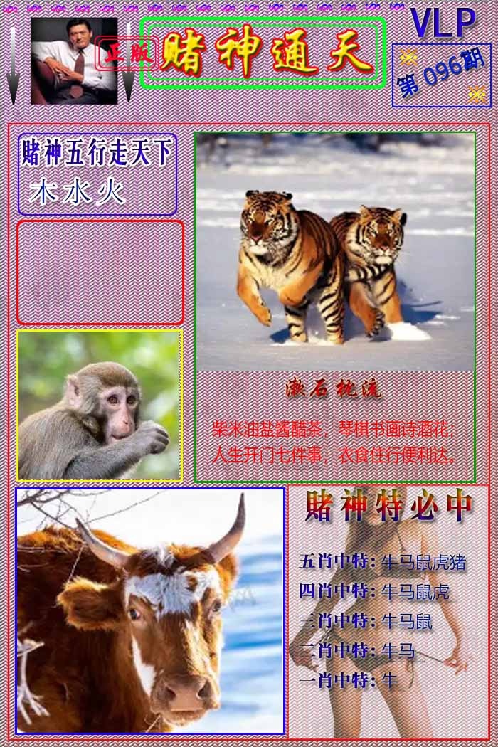六合彩096期赌神通天报