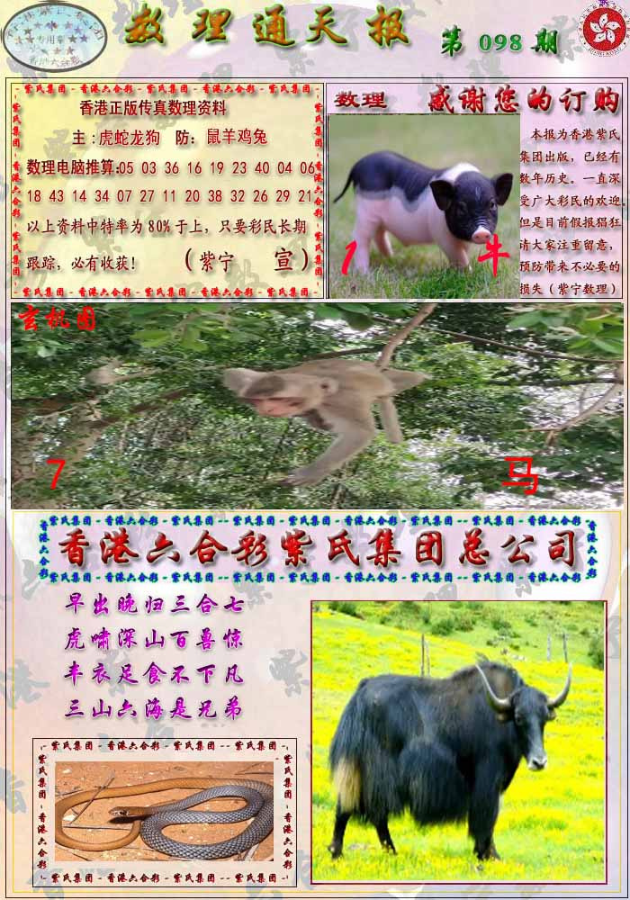 六合彩098期数通报
